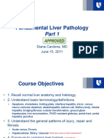 06.15.1 Liver Pathology Final PDF