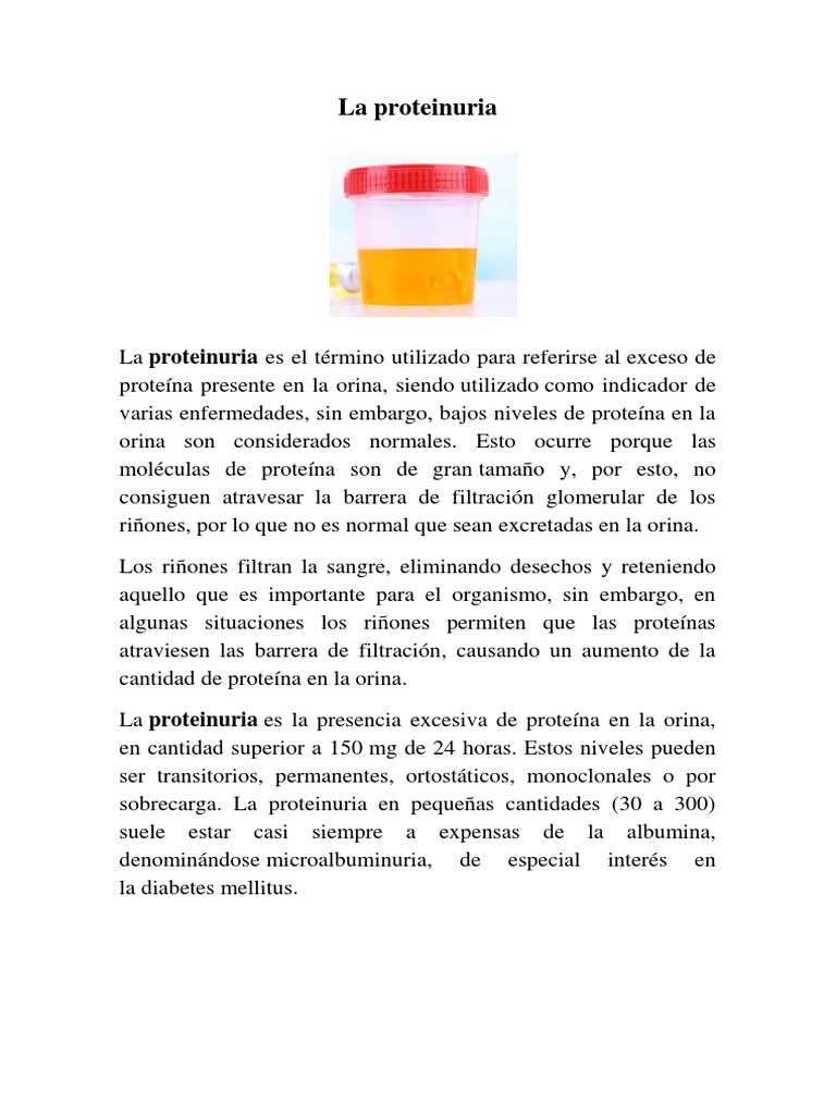 Proteinuria, Proteina en Orina PDF Orina Riñón