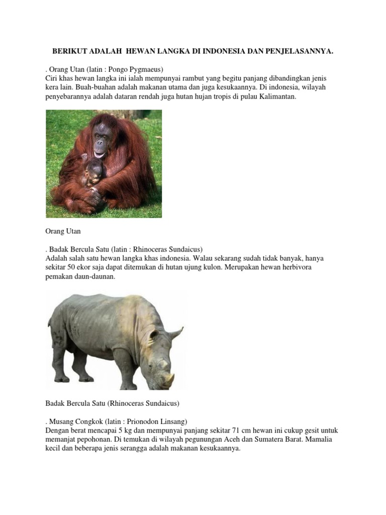 44+ Gambar Hewan Langka Dan Penjelasan Gratis Terbaru