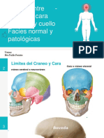 Semiologia Limites Entre Craneo Cara, Cabeza Cuello y Facies 1