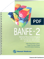 Manual Banfe 2 PDF