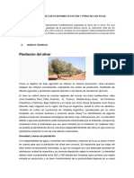 7 REPOSICIÓN DE LOS PLANTINES Q FALTAN Y PODA DE LAS FILAS.docx