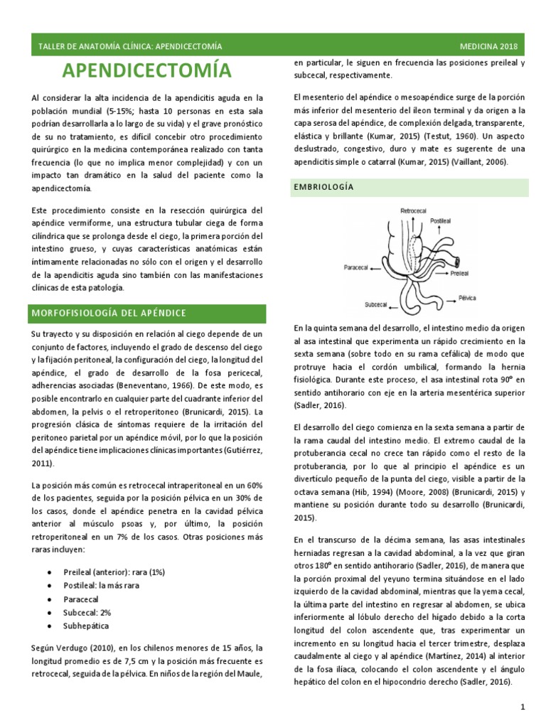 Anatomía y Tratamiento de Apendicitis | PDF | Abdomen | Dolor