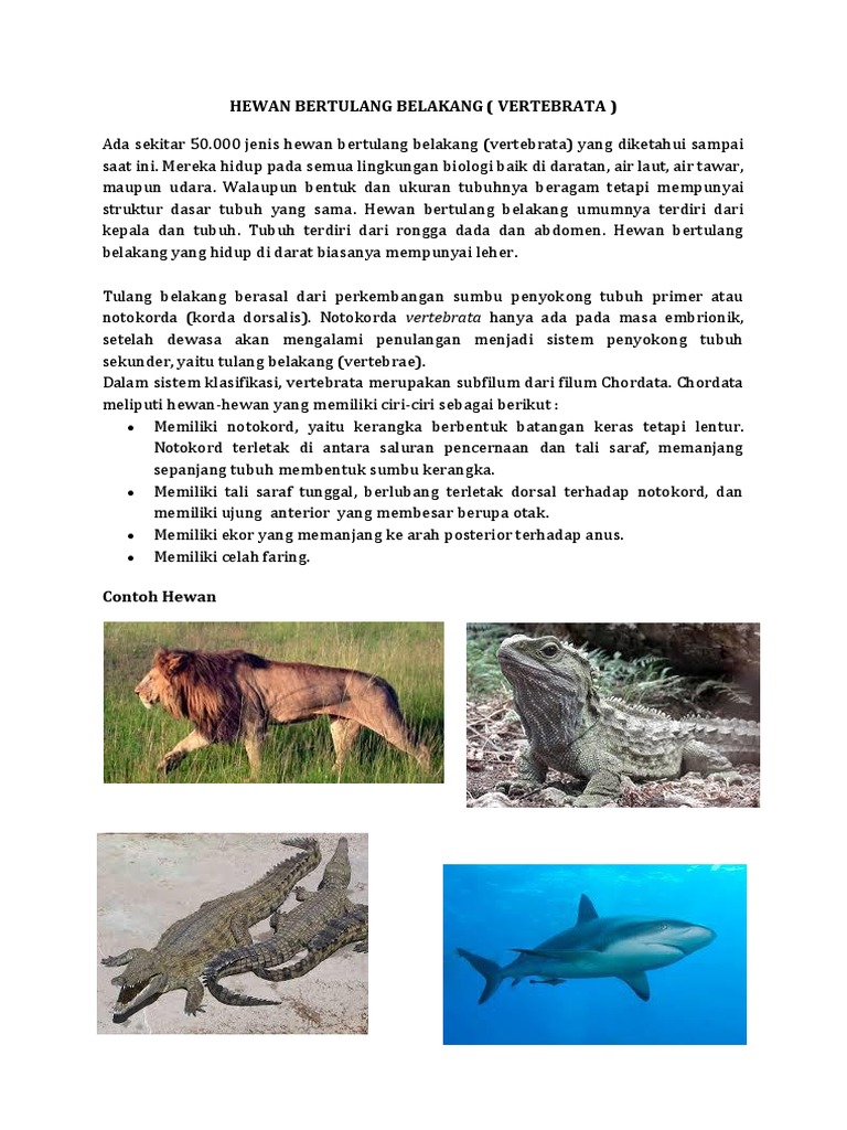 76 Koleksi Gambar Gambar Hewan Tidak Bertulang Belakang HD Terbaru