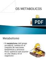 Procesos Metabolicos