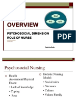 1-N 289 Psychosocial Nursing Overview PPT - Copy-2