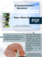 Apunte D - Atención Ejecutiva PDF