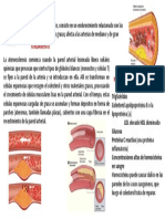 Ate Roe Sclerosis