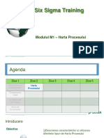 Modul M1p - Harta Procesului