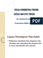 Fase Kerja Xenobiotika