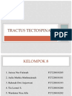 Kel 8 Tectospinalis