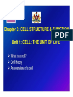 Chapter 3: Cell Structure & Function Unit 1: Cell: The Unit of Life