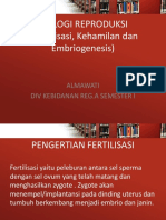 Fertilisasi, Kehamilan Dan Embriogenesis