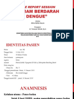 CSS Dengue
