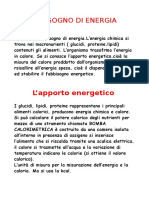 Il Bisogno Di Energia Scienze Alimenti 5prb