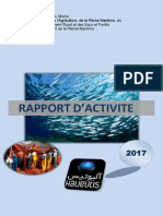 Rapport+dactivité+DPM+2017.pdf