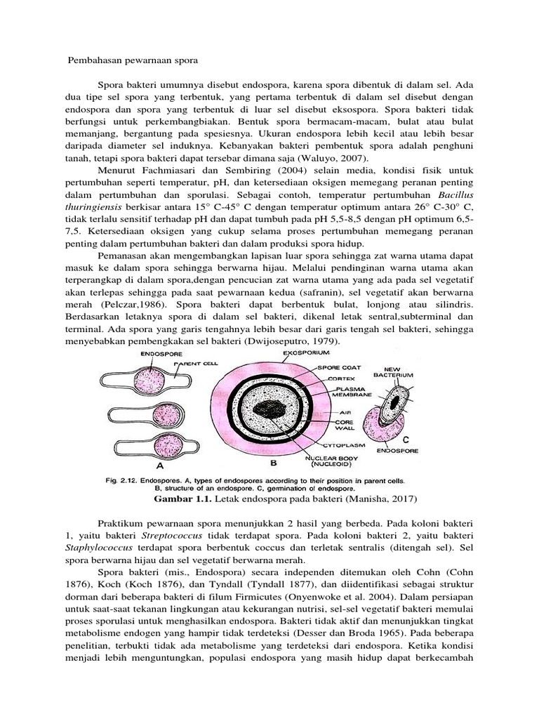 Pembahasan Pewarnaan Spora