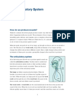 The Articulatory System