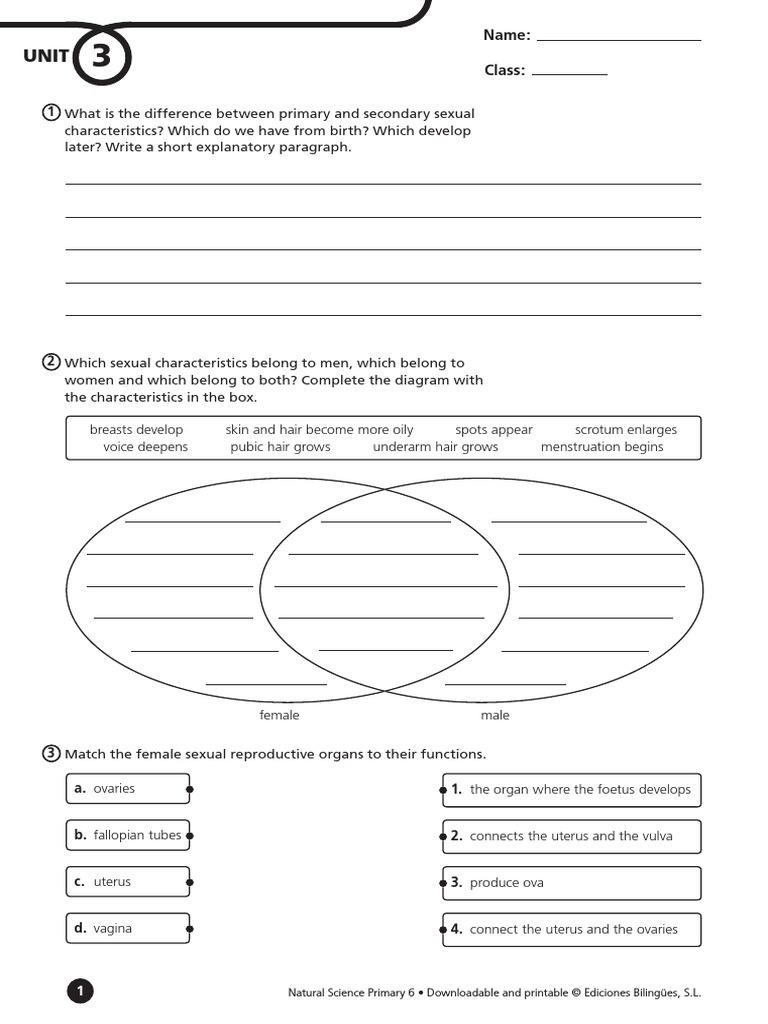 Test U3 Ccnn6 Asc Pdf Ovary Uterus