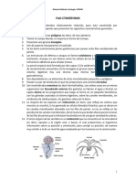Filo Ctenóforos PDF