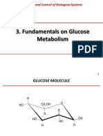 Fundamentals On Glucose Metabolism: Modeling and Control of Biological Systems