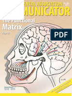 Colors Used in Illustration: Centrals: Purple Bicuspid: Red Cuspids: Yellow Molars: Green