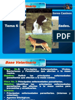 Base Veterinaria Parasitos - Act