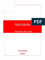 Aula Tecido Conjuntivo