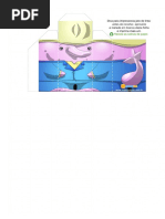 Boto Cor-De-rosa, A Lenda-  Folclore e Mitologia - CUBINHO KIDS 