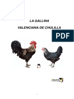 La Gallina Valenciana de Chulilla