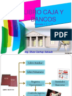 Libro Caja y Bancos