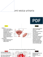 Anatomi, Fisio