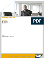 SAP Setup Guide.pdf