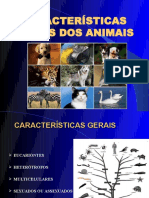 animais.pdf