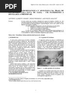 A Riqueza Geológica Da Praia de Lavadores