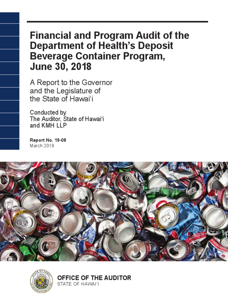 Auditor S Report Pdf Financial Audit Audit