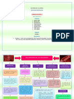 Abp Anticoagulantes PDF