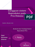 Gangguan Sistem Reproduksi Pada