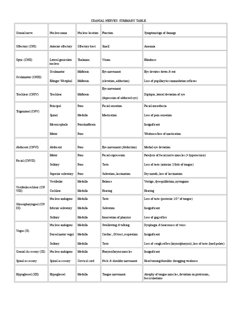 Cranial Nerves Summary | PDF | Neuroanatomy | Animal Anatomy