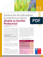 2-3-QUILAMAPU-Generacion-indicadores-arroz.pdf