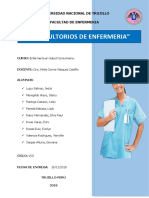 INFORME CONSULTORIOS DE ENFERMERIA.docx