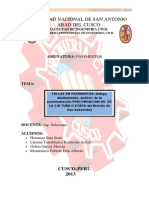 Fallas-Fatiga-Ahullamiento-Analisis-Pavimentacion-San-Sebastian.docx