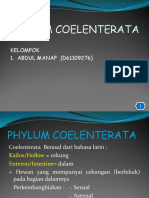 218130398-PPT-Coelenterata-ppt.ppt