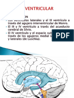 Sistema Ventricular