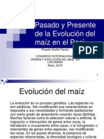 Evolución Del Maíz Congreso Cusco