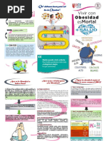 Triptico Sobre La Obesidad