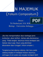 daun-majemuk.ppt