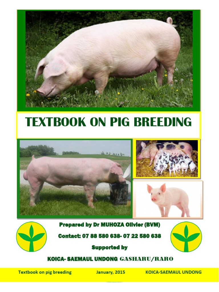 Textbook On Pig Breeding Pdf Domestic Pig Pig