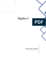 Rodrigo Raya - Algebra1.pdf
