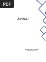 Z3 Libro Algebra 2017 | PDF | Aritmética | Aprendizaje